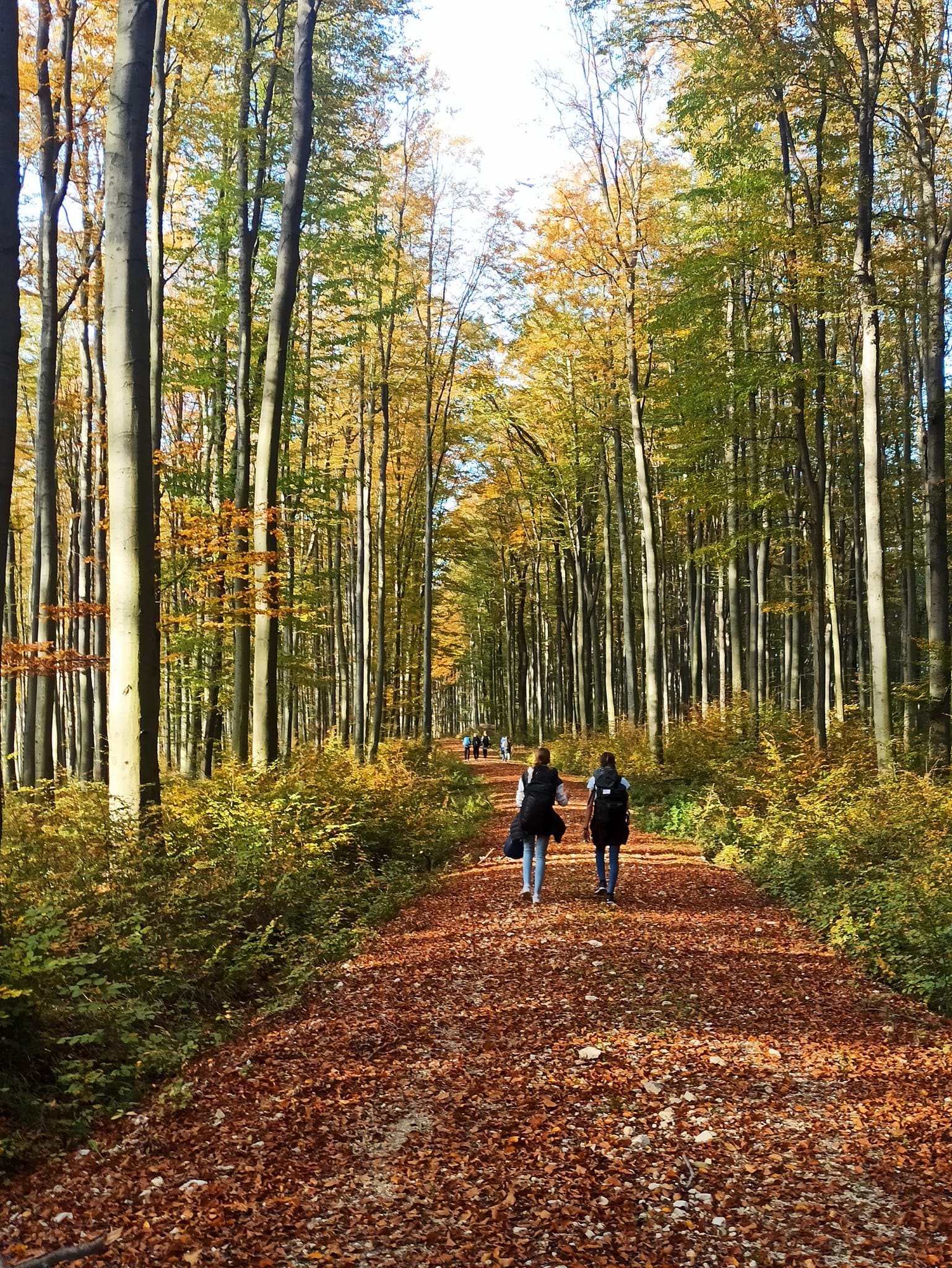 KKNoémi SmetanaE Bakony